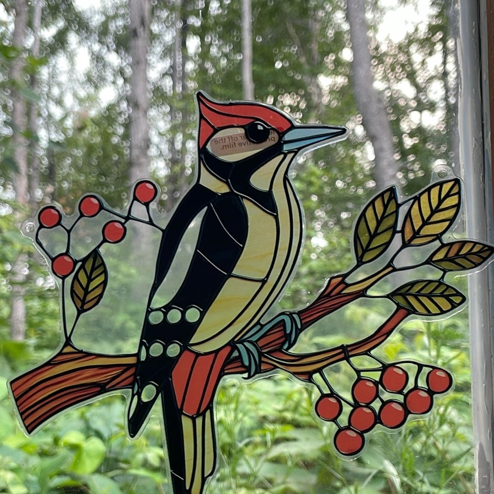 Suncatcher Acrylic Woodpecker Bird Wildlife Decor Gift Decoration New 7.5”